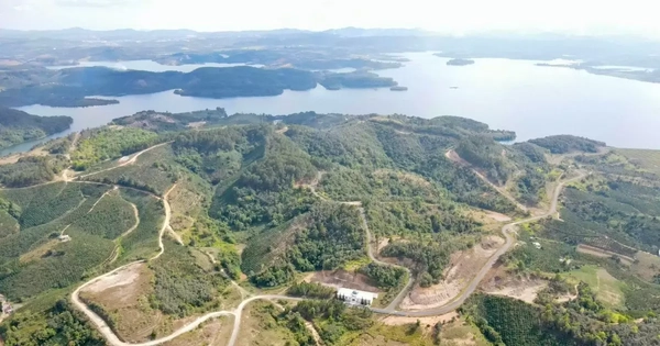 Thu hồi toàn bộ 3.600 ha đất cấp cho dự án Sài Gòn Đại Ninh