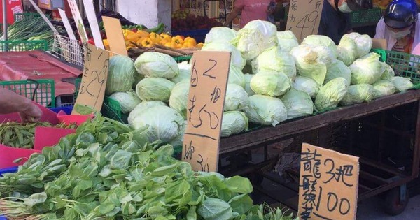 5 dấu hiệu nhận biết rau cải chứa Formaldehyde, người thông thái không bao giờ mua