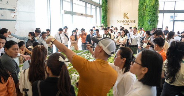 Giải mã sức hút mãnh liệt của The Link City