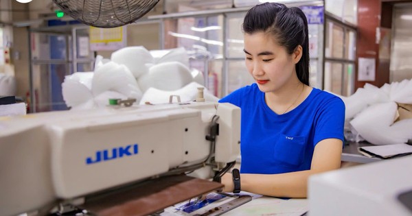 Nhờ đâu TNG đạt lợi nhuận quý 4 tăng 50% so với cùng kỳ?