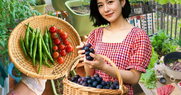 Tôi bắt đầu trồng rau tại nhà vì nghĩ cho vui, 3 tháng sau nhận ra mình đã tiết kiệm được một khoản không nhỏ