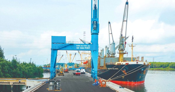 Công ty cảng biển 6.000 tỷ báo lãi kỷ lục, EPS 7.350 đồng, tiền mặt chiếm 50% tài sản