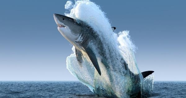 Giám đốc Đầu tư VinaCapital hé lộ hai nhóm cổ phiếu từng bị “bỏ quên” năm 2025 sẽ có 