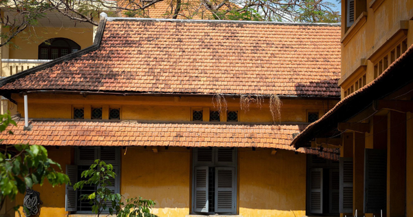 Ngôi trường có đông học sinh giỏi quốc gia nhất Việt Nam: Từng được KTX làm đồ án quy hoạch tổng thể Hà Nội thiết kế