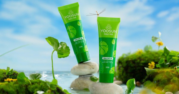 Yoosun Rau má: Từ thị trường nội địa đến sự quan tâm của đối tác quốc tế