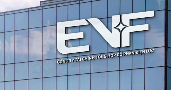 EVF về đích ấn tượng năm 2025, lợi nhuận vượt kế hoạch