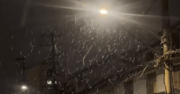 Nhiệt độ cao nhất chỉ 4 độ C, thành phố giáp biển xuất hiện tuyết rơi bất ngờ: Hiếm có sau gần 1 thập kỷ