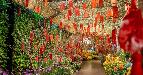 Đón Tết sớm tại một địa điểm ngập hoa ngay trong lòng Hà Nội, ngỡ như đang cùng gia đình ăn bữa cơm tất niên