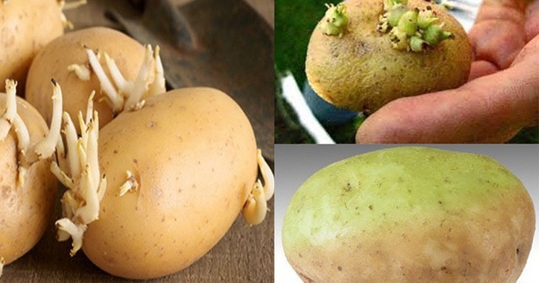 7 loại thực phẩm tưởng chừng an toàn nhưng có thể chứa chất độc: Gia đình bạn nên kiểm tra ngay