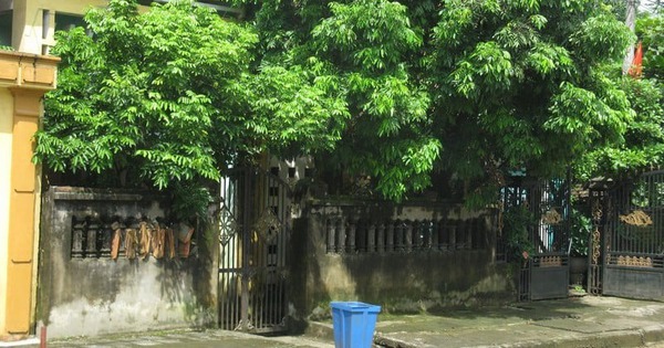 Cửa nhà có 3 thứ này, cả người lẫn của đều lao đao: Sai lầm phong thủy nhà nào cũng nên tránh