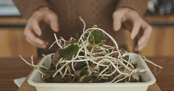 Món ăn "ngang ngược" được làm từ "thứ rau của quỷ" khiến kẻ khóc người cười