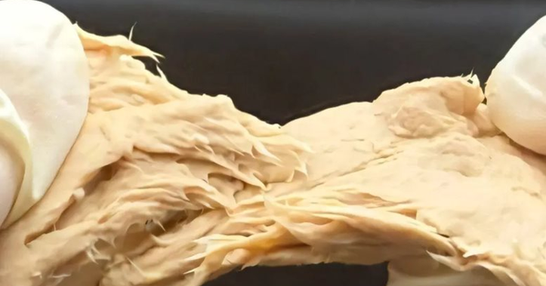 Phát minh của Trung Quốc làm rung chuyển ngành thực phẩm: Tạo ra nấm biến đổi gen kết cấu giống thịt, tiết kiệm 70% đất so với chăn nuôi truyền thống