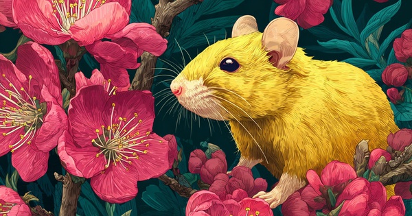 Bước sang Bính Ngọ 2026, 3 con giáp này hết khổ, 1 con giáp cẩn trọng kẻo nợ nần quấn thân