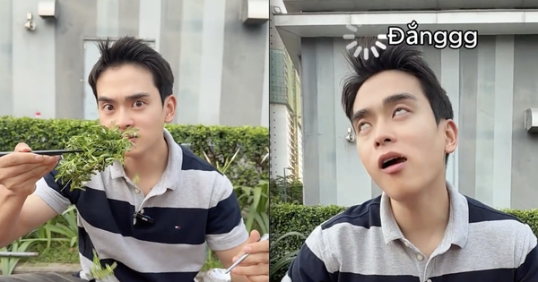 Loại rau đắng ngắt của miền Tây khiến khách Hàn vừa thử đã nghiện: "Ở Hàn Quốc không có hương vị này"