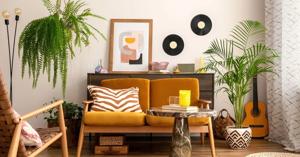 Loại cây được dự đoán ‘hot nhất năm 2026’: ‘Hút’ bụi mịn, lọc không khí cực đỉnh