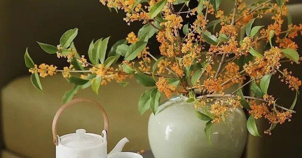 9/10 gia đình giàu lên theo năm tháng đều có chung 1 điểm: Trong nhà luôn có 1 trong 3 loại cây này