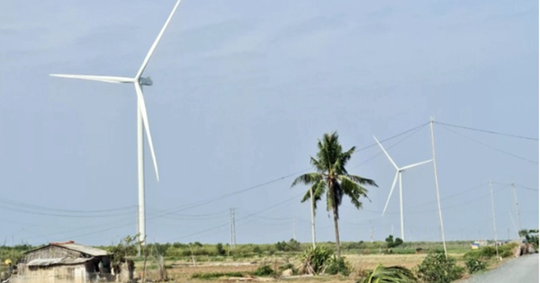 Nhiều doanh nghiệp muốn đầu tư hàng loạt dự án điện gió ở Cần Thơ