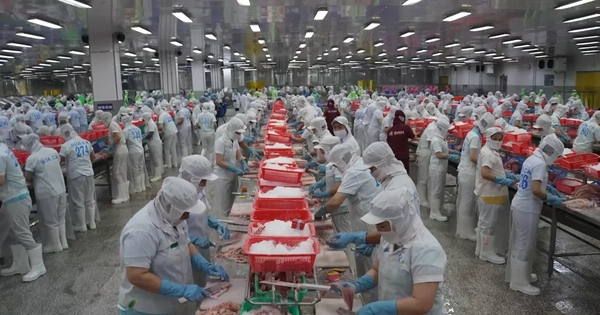 Đồng Tháp thưởng Tết cao nhất 300 triệu đồng/người