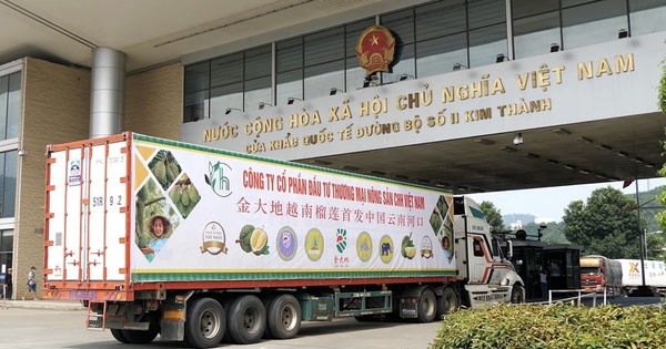 Một sản vật Việt Nam 'thắng lớn' ở Trung Quốc: Chuyên gia chỉ rõ lợi thế giúp vượt mặt Thái Lan