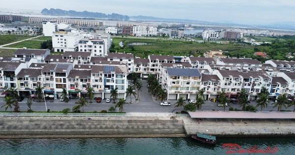 Toà buộc chúa đảo Tuần Châu trả 6.000 tỷ cho Vạn Thịnh Phát