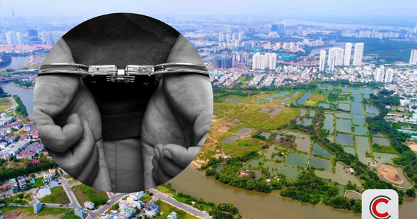 Nóng: Cơ quan chức năng cảnh báo 7 hành vi về đất đai có thể bị xem xét trách nhiệm hình sự