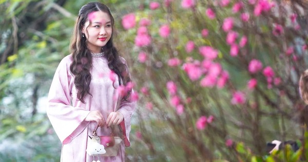 Chi tiết lịch nghỉ Tết Nguyên đán Bính Ngọ và các kỳ nghỉ dài trong năm 2026