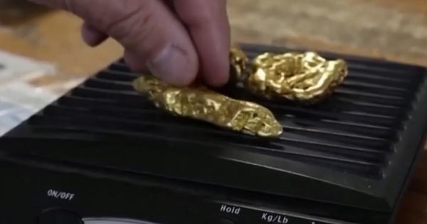 “Cơn sốt đào vàng” kiểu mới tại Australia