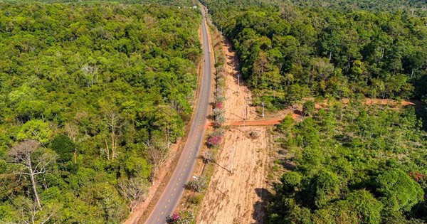 “Anh cả” siêu dự án đại lộ ven sông Hồng 855.000 tỷ đồng được chấp thuận là nhà đầu tư đề xuất tuyến đường xuyên rừng 13km tại Đồng Nai