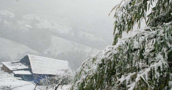 Ngoài mặc đồ giữ ấm tốt, bác sĩ nói có 2 thứ cần đảm bảo để tạo lớp “áo giáp mềm” cho cơ thể: Không sợ đột quỵ, hạ đường huyết!