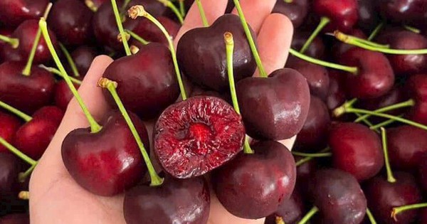 Cherry đang vào mùa giá rẻ: Thấy 3 loại này ngoài chợ, dù giá thấp cũng đừng mua kẻo “tiền mất tật mang”