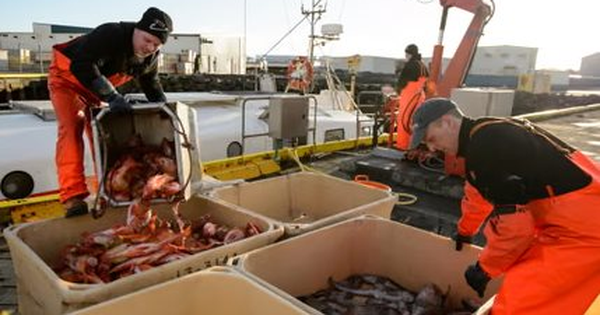 Nga đón tin vui từ Hàn Quốc