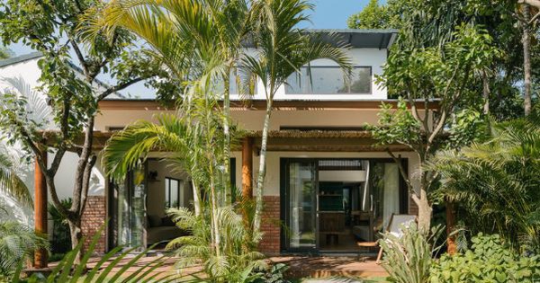 6 loại cây được người xưa khuyên nên trồng vào đầu năm để cầu công danh, tài lộc