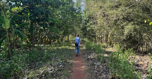 Chấp thuận nhà đầu tư đề xuất dự án đường kết nối từ cầu Mã Đà với Vành đai 4 TPHCM