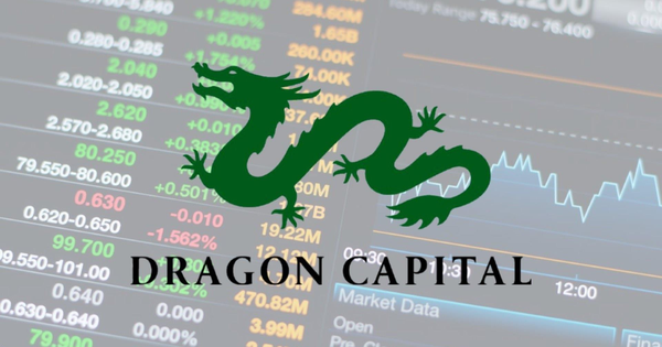 Giảm tỷ trọng nhóm Vingroup, Dragon Capital sắp tăng mạnh tỷ trọng tại một nhóm cổ phiếu