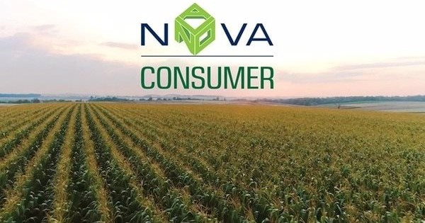 DN thuộc hệ sinh thái Nova Group của ông Bùi Thành Nhơn liên tiếp miễn nhiệm Giám đốc Tài chính và Tổng Giám đốc