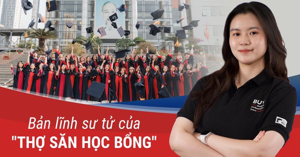 “Thợ săn” có 12 học bổng quốc tế vẫn “ngã ngựa” ngay kỳ đầu đại học: Mài giũa bản lĩnh “Sư tử” từ những lần thất bại