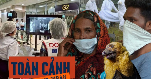 Toàn cảnh virus Nipah: Mối đe dọa âm ỉ khiến thế giới luôn trong trạng thái báo động