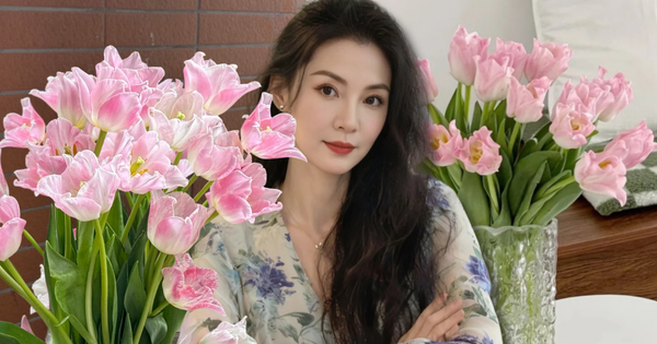 Đừng chỉ cắm lay ơn hay thược dược, Tết này thử ngay loài hoa "đổi màu" diệu kỳ: Ban đầu trắng muốt, càng ngắm càng ra tiền!