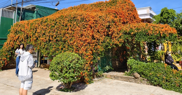 Căn nhà đang "nổi như cồn" ở Lâm Đồng