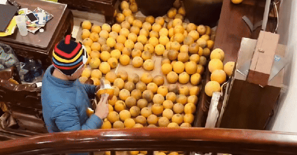 Trung bình nhà miền Bắc mỗi dịp Tết: Càng xem càng dejavu, cảnh tượng này trong mơ cũng vẫn ám ảnh