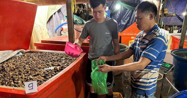 Công an TPHCM công bố hình ảnh bên trong cơ sở ngâm ốc bươu bằng hoá chất