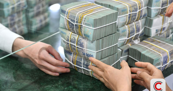 TS. Lê Xuân Nghĩa: Đừng sợ bị gọi là đầu cơ