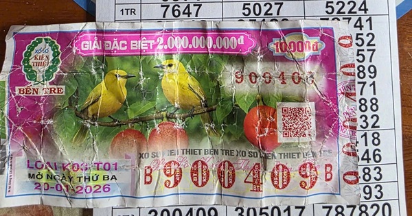 Dò vé số xong vứt vào sọt rác, cô gái tá hỏa khi nhận cuộc gọi của người bán: Cái kết bất ngờ