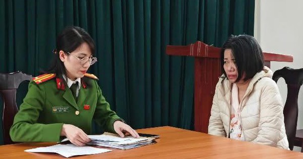 Thực hiện lệnh bắt tạm giam nữ giúp việc Trương Thị Bắc