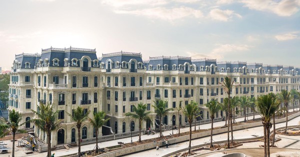 Sunshine Group tạo đột phá trong giai đoạn tái cấu trúc: Lợi nhuận 2025 vượt 11.200 tỷ, tổng tài sản gần 120.000 tỷ