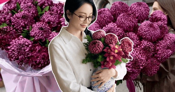 Không phải mẫu đơn, cũng chẳng phải cúc thường: Loài hoa lạ đang khiến chị em lùng sục để "đổi gió" bàn trà ngày Tết
