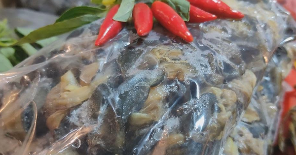 Triệt phá ‘xưởng’ dùng hoá chất ngâm 3 tấn thịt ốc bán ra thị trường: Natri silicate độc hại thế nào?