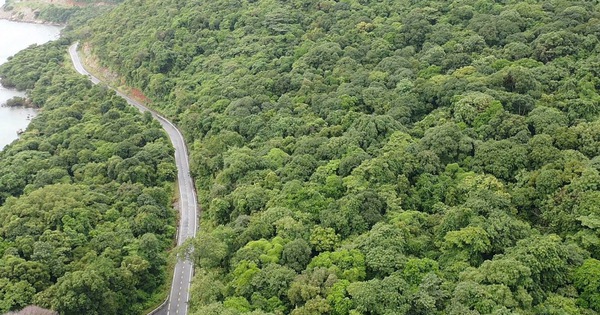 Thanh tra việc chuyển mục đích sử dụng đất rừng làm nhà máy xử lý rác Côn Đảo