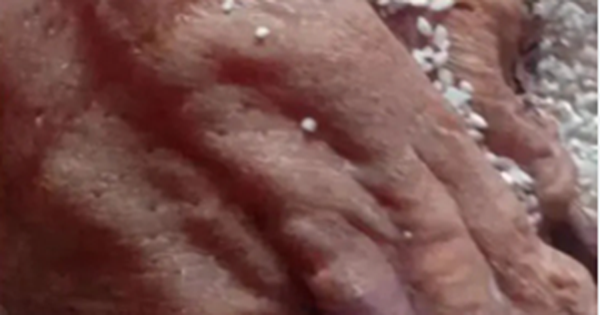 Mở thùng gạo phủ bụi, người đàn ông phát hiện vật thể khô bị lãng quên 50 năm, giá trị ngang căn biệt thự