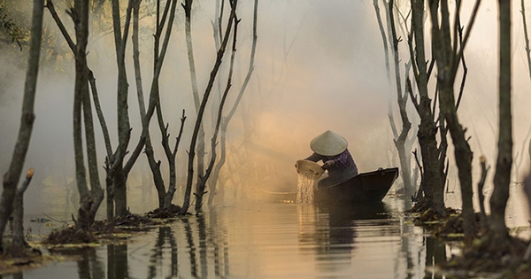 Lập kỷ lục chưa từng có, mặt hàng Việt Nam khiến Trung Quốc thích mê, ồ ạt thu mua